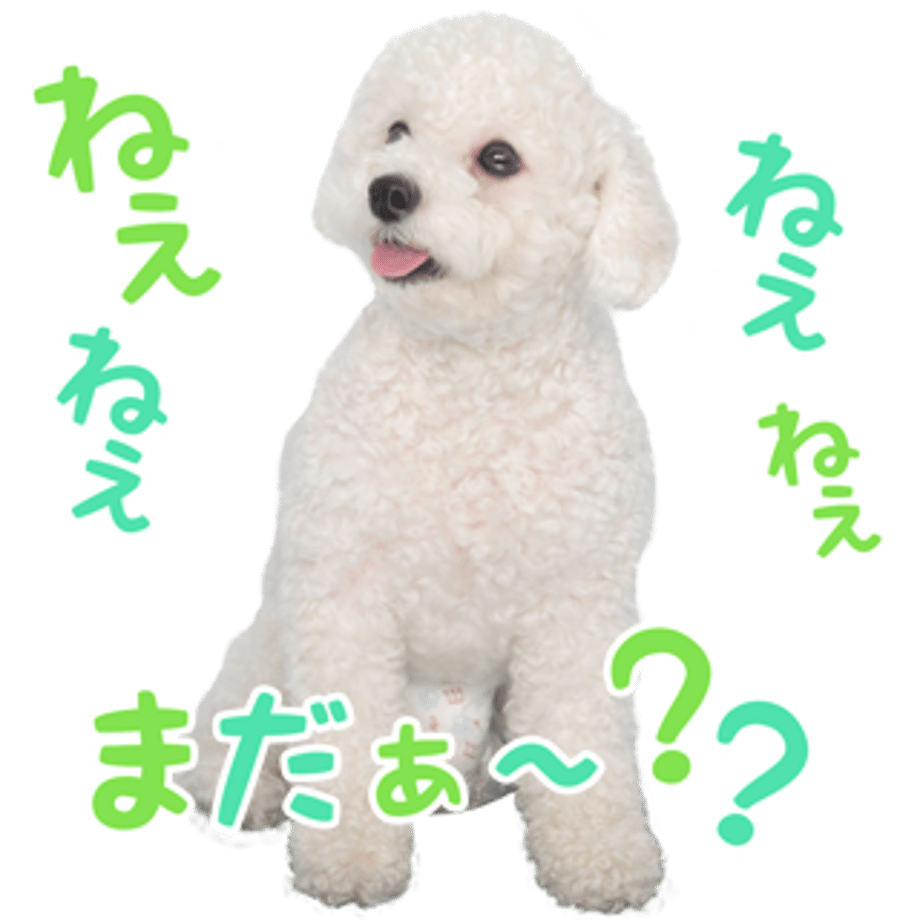 61b7354db91b754090475670
