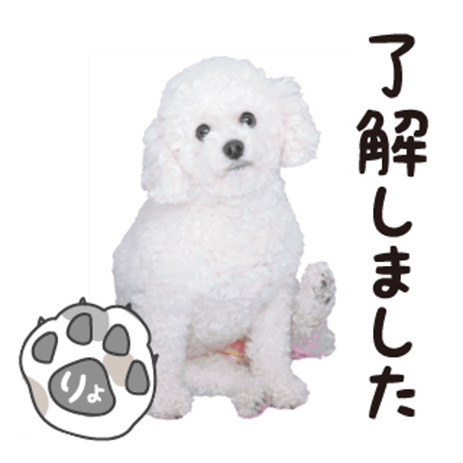 61b733db4adba05892ec2842