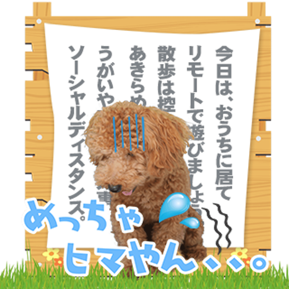 61b732bb3475ed71ded44393