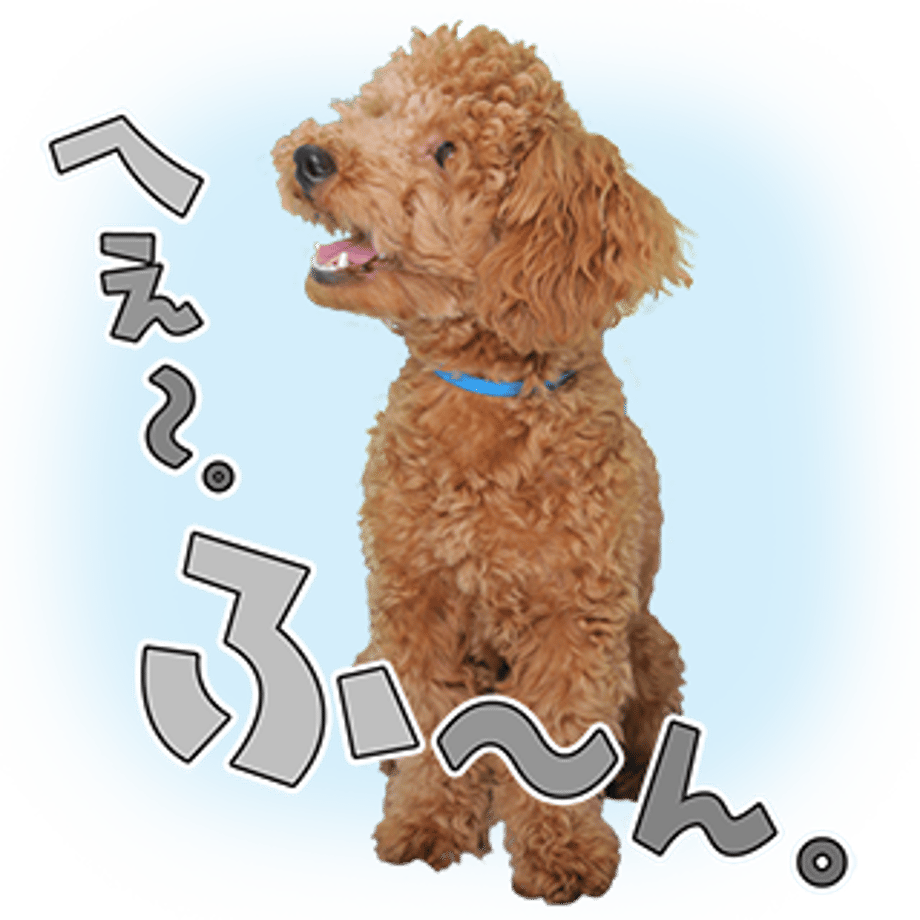 61b73522b91b7503a9475583