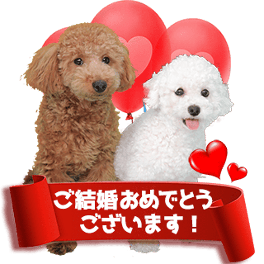 61b72f9c4adba05443ec2b7c