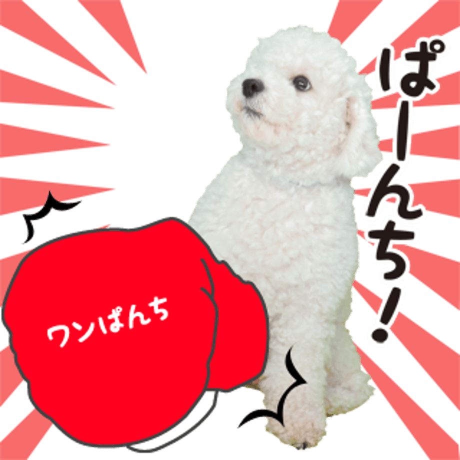61b73492f6d7c95c840d45d4