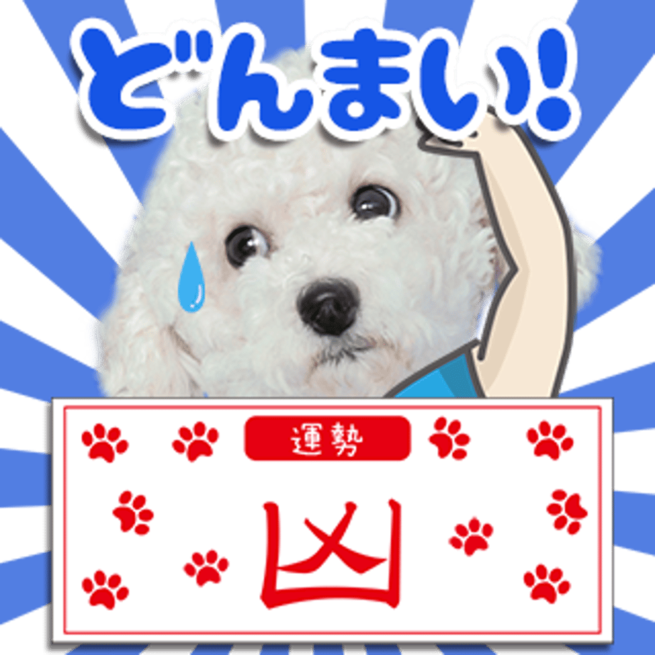 6571af816f1dc900308fb0f3