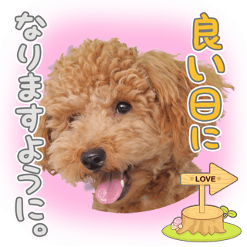 あいさつ丁寧語セット3 | わんちゃんホンポ-オリジナルLINEスタンプ