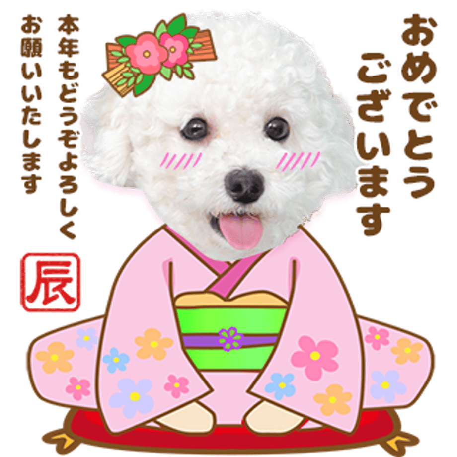 6571af816f1dc900308fb0f3