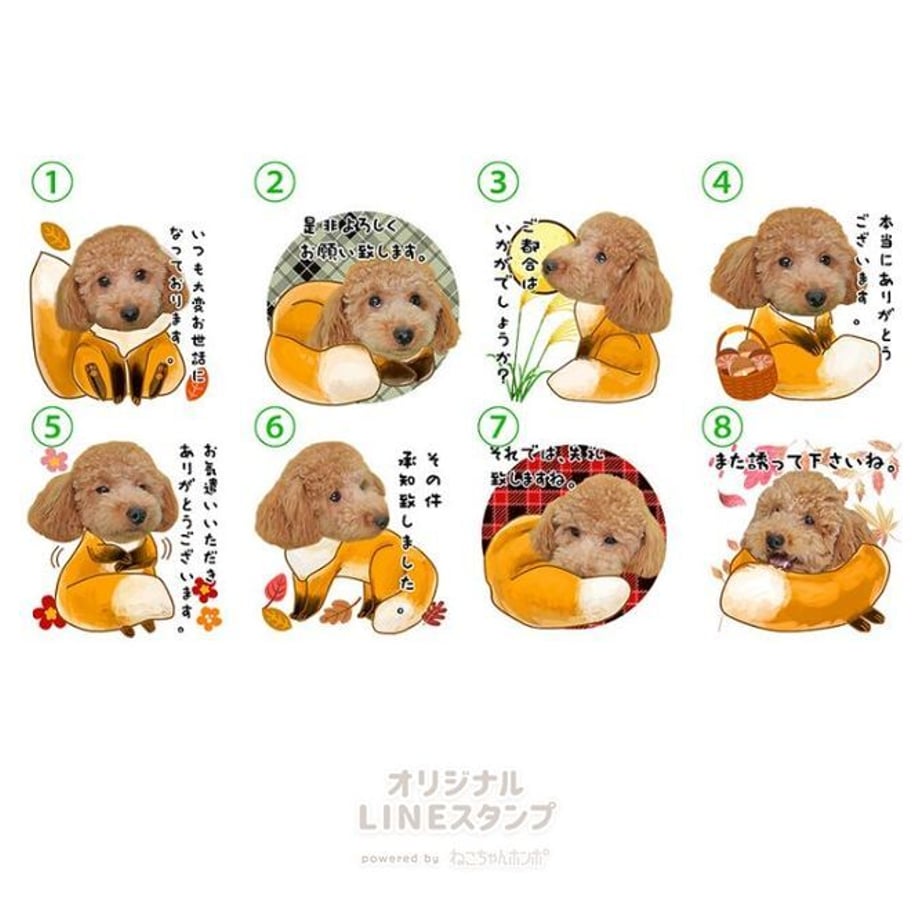 637f3e81f3de5c6c8a9d4889