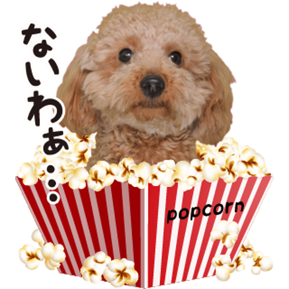 61b734c5b91b757a8e4755a3