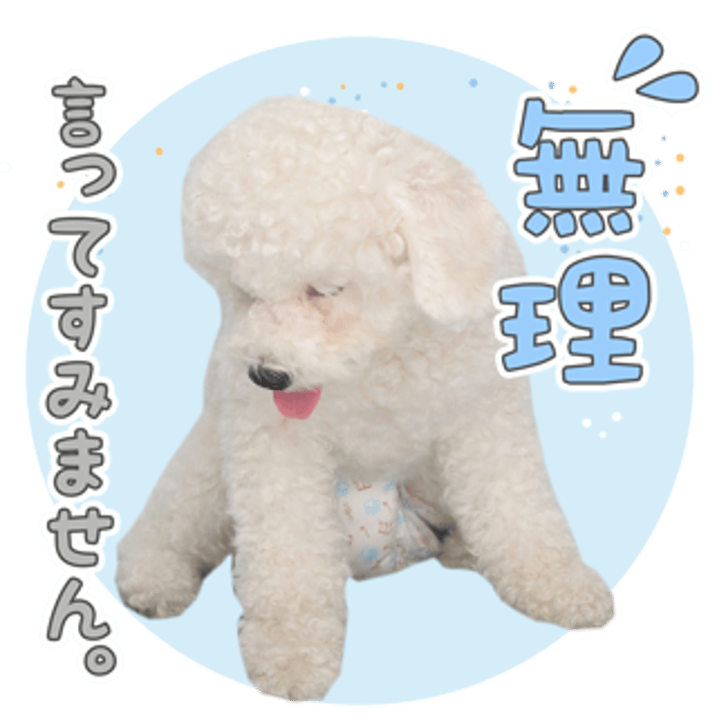 お値下♡未使用　スタンピンアップ　フランス語　猫と犬　クリスマス お値下♡未使用 スタンピンアップ フランス語 猫と犬 クリスマス