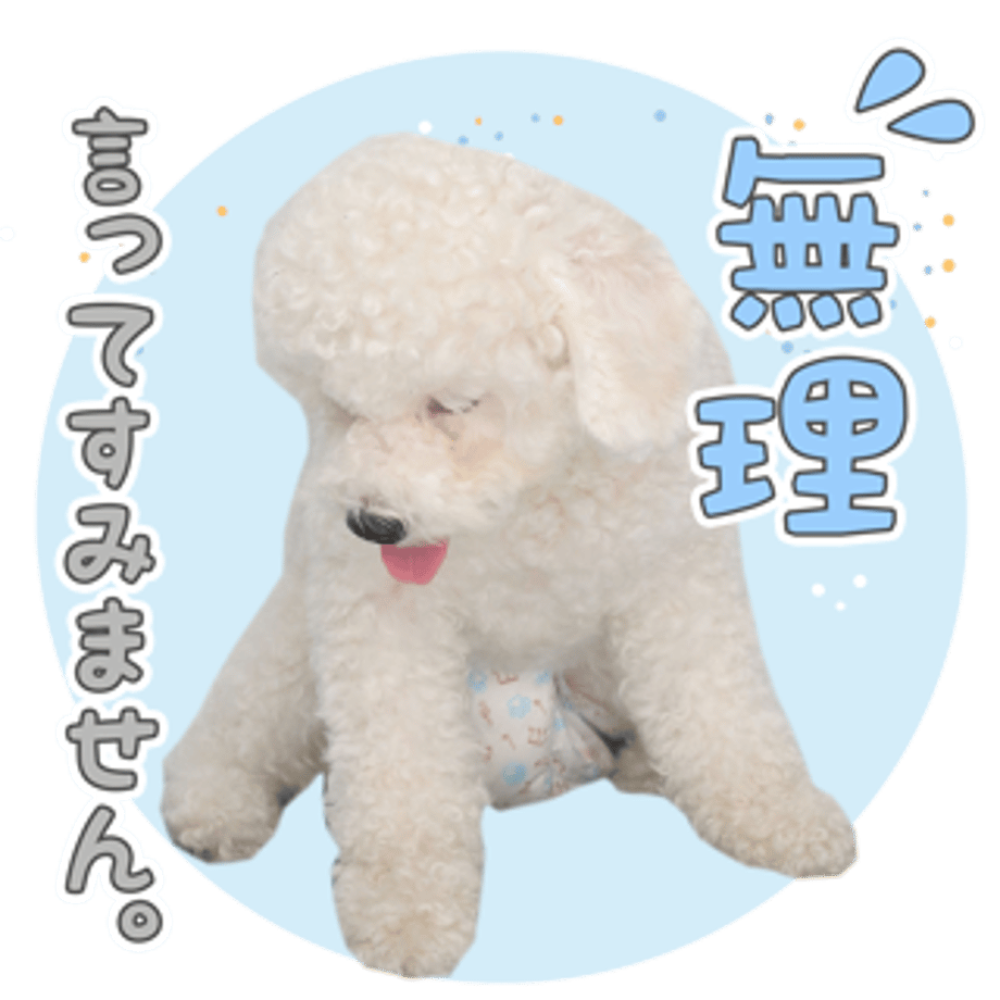 61b733add5ffeb72fd88c571