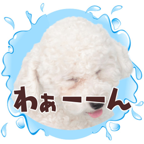 喜怒哀楽セット2
