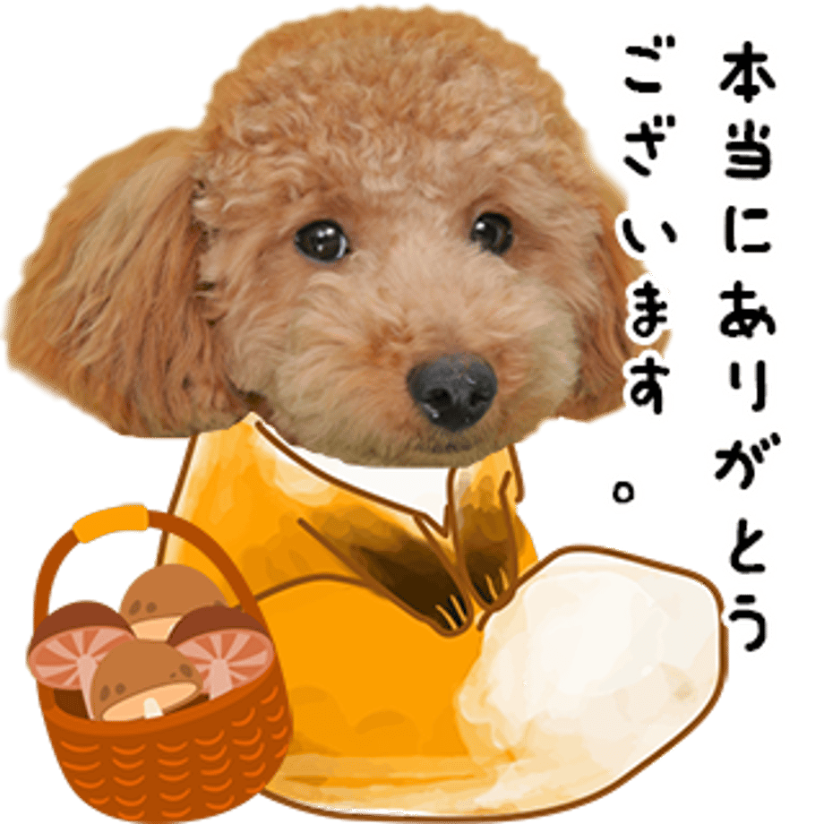637f3e81f3de5c6c8a9d4889