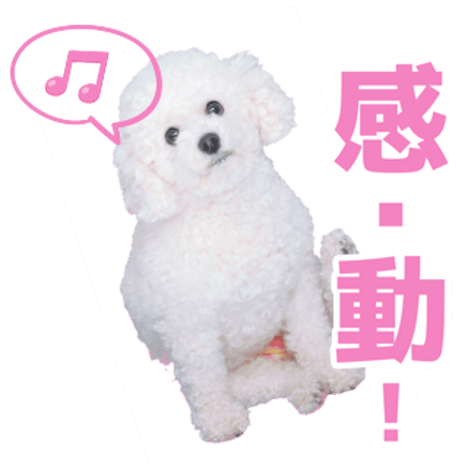 61b7346e7398917affe8d3e8