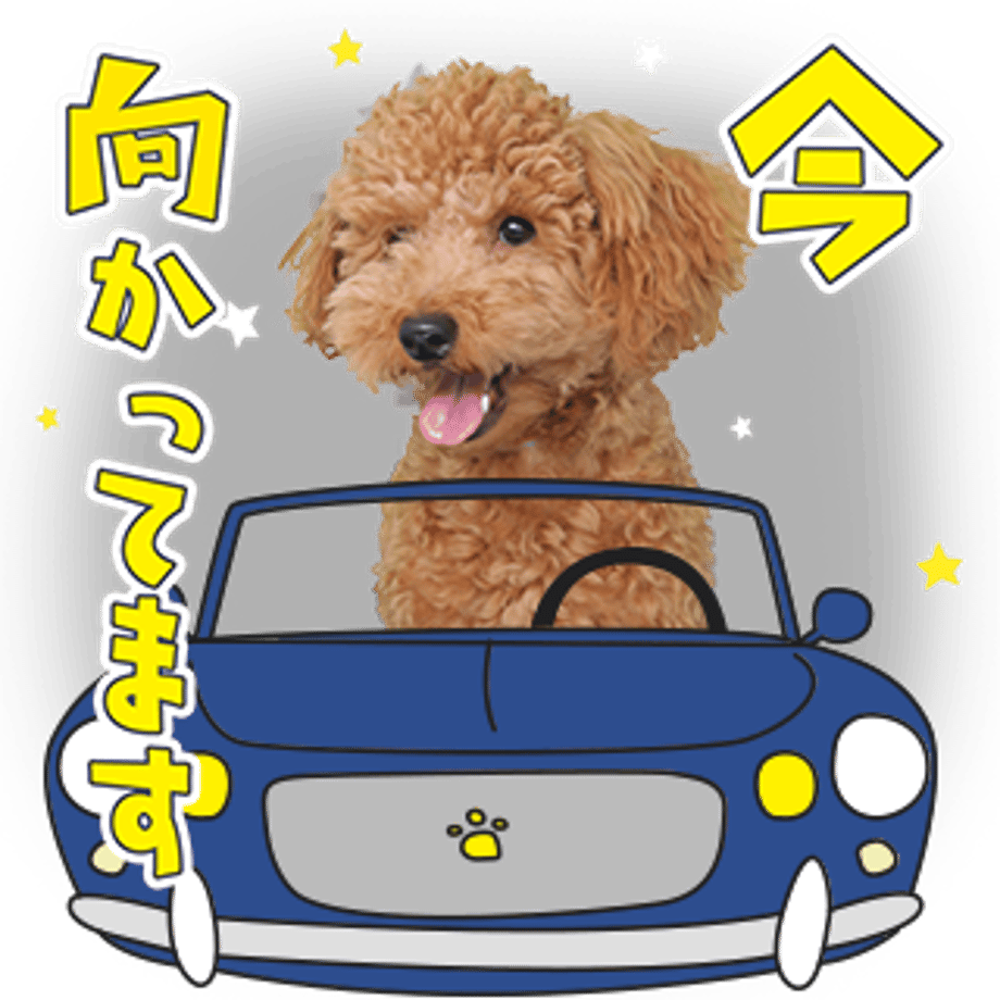 61b73262ecd057482862c74f