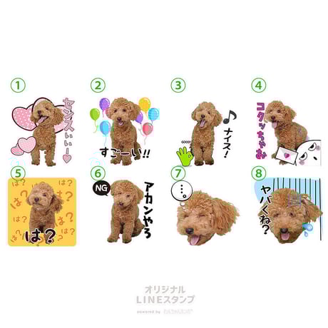 ツンデレセット4