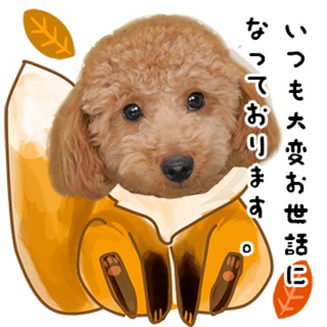 上品なキツネセット