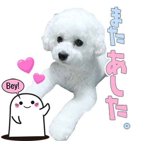 バラエティーセット1