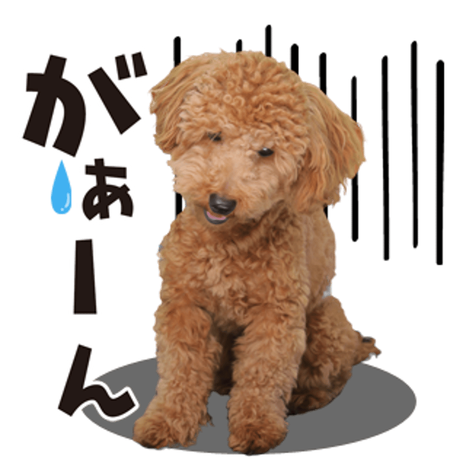 61b734499eadbe3cbc282e1b
