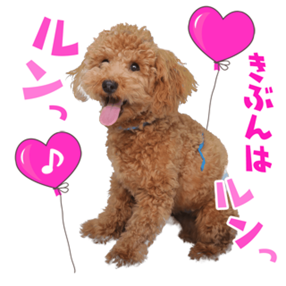 61b734c5b91b757a8e4755a3