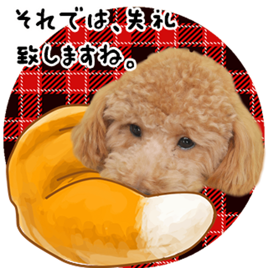 637f3e81f3de5c6c8a9d4889