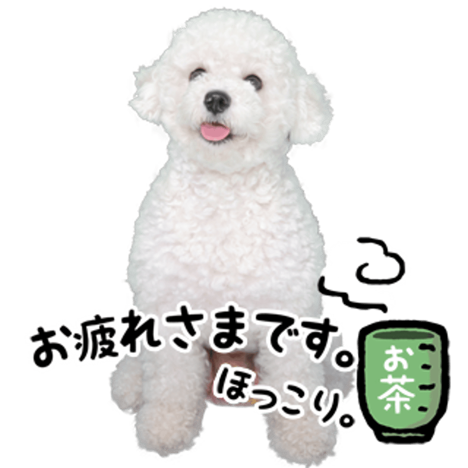 61b733add5ffeb72fd88c571