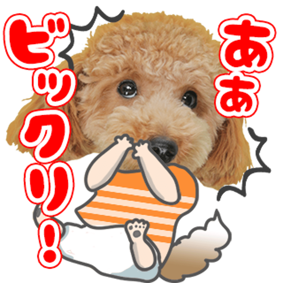 61b735d67d278d52c127d81f