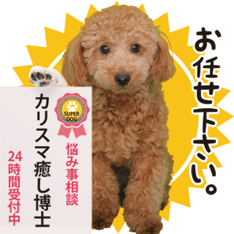 あいさつ丁寧語セット3 | わんちゃんホンポ-オリジナルLINEスタンプ