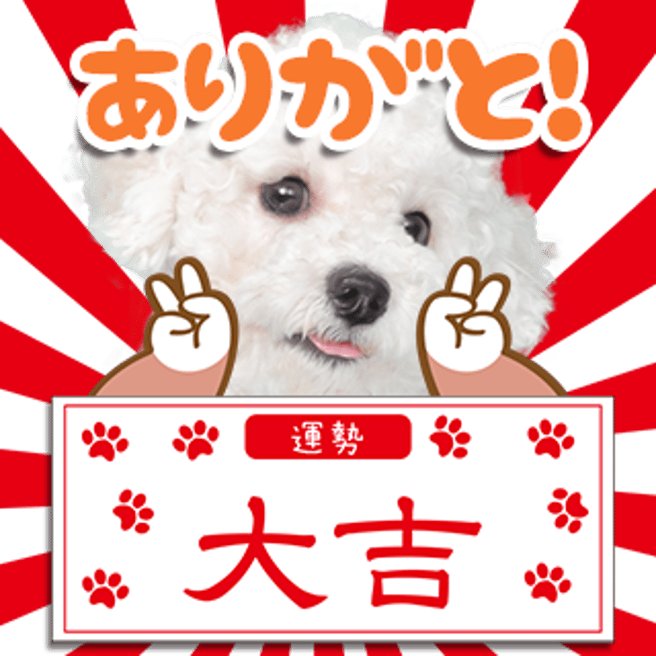 6571af816f1dc900308fb0f3