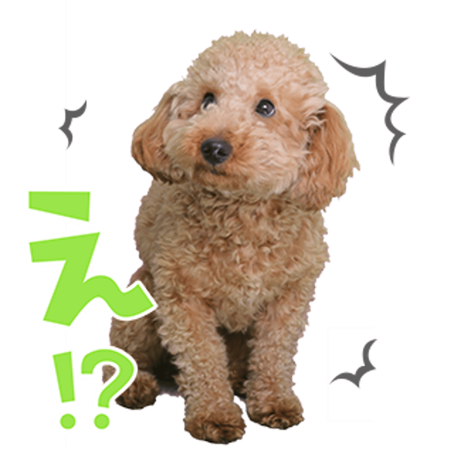 61b73262ecd057482862c74f