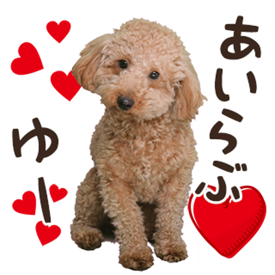 61b73262ecd057482862c74f