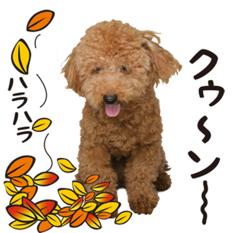 喜怒哀楽セット4