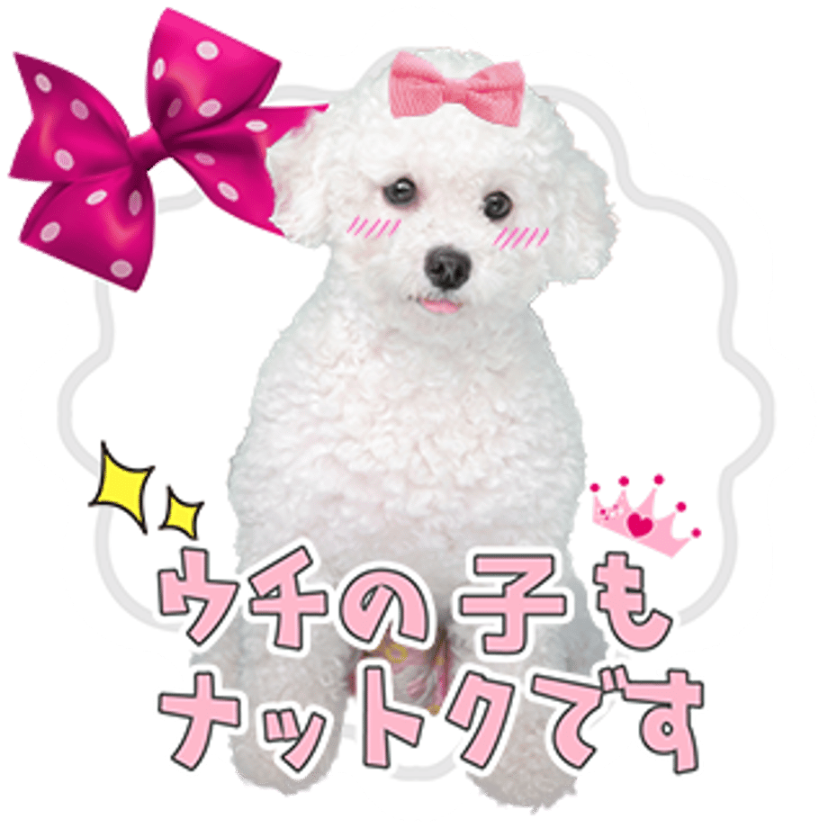 61b73291739891662fe8d77e