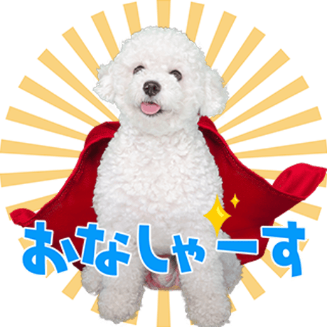 バラエティーセット7