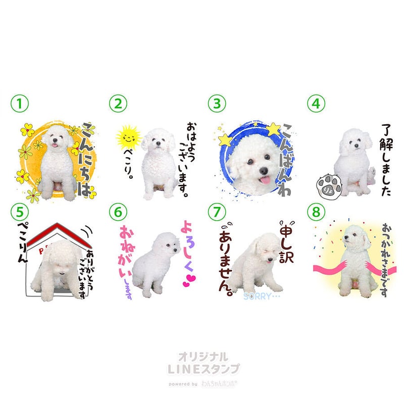 あいさつ丁寧語セット1 | わんちゃんホンポ-オリジナルLINEスタンプ