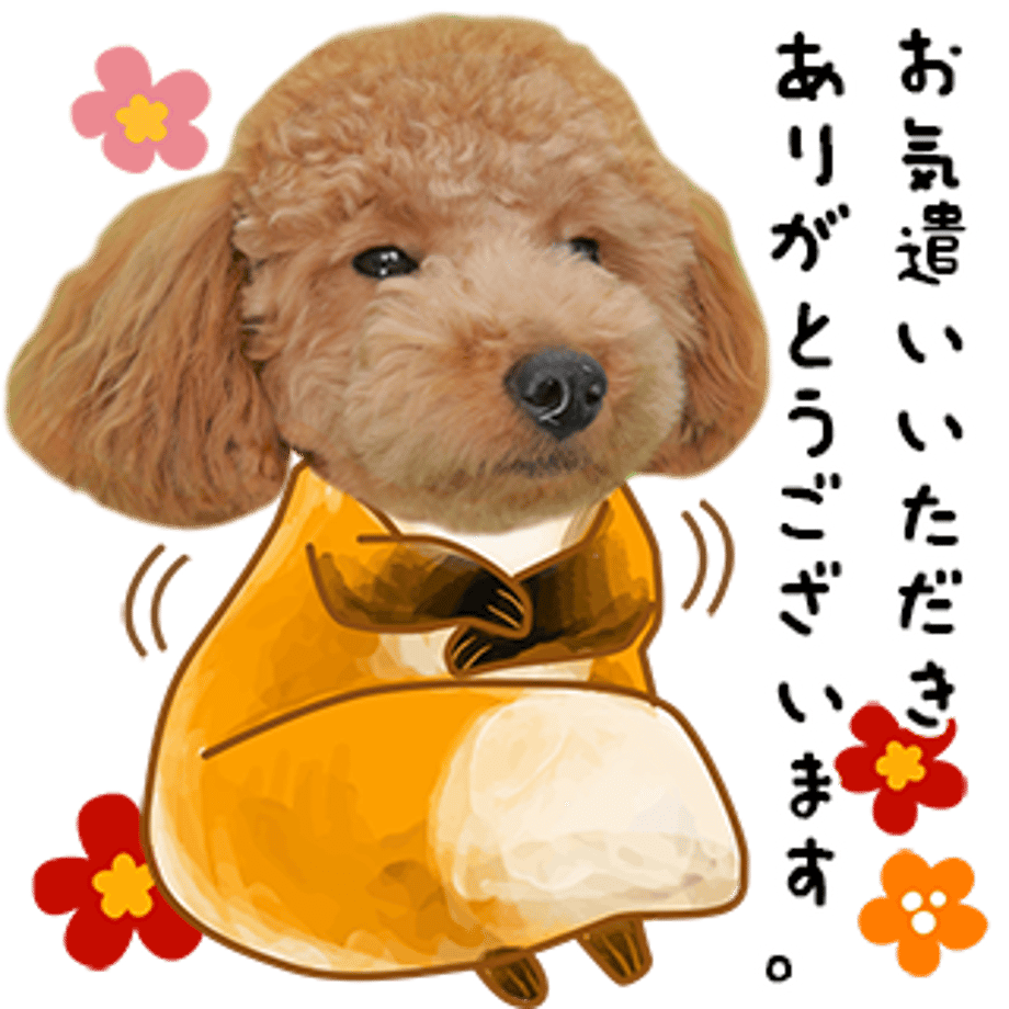637f3e81f3de5c6c8a9d4889