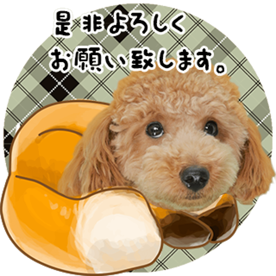 637f3e81f3de5c6c8a9d4889