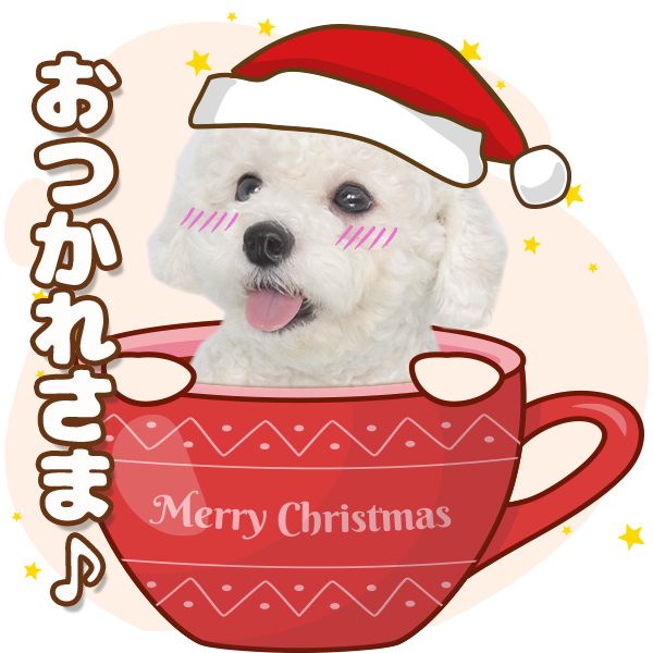 クリスマスセット | わんちゃんホンポ-オリジナルLINEスタンプ