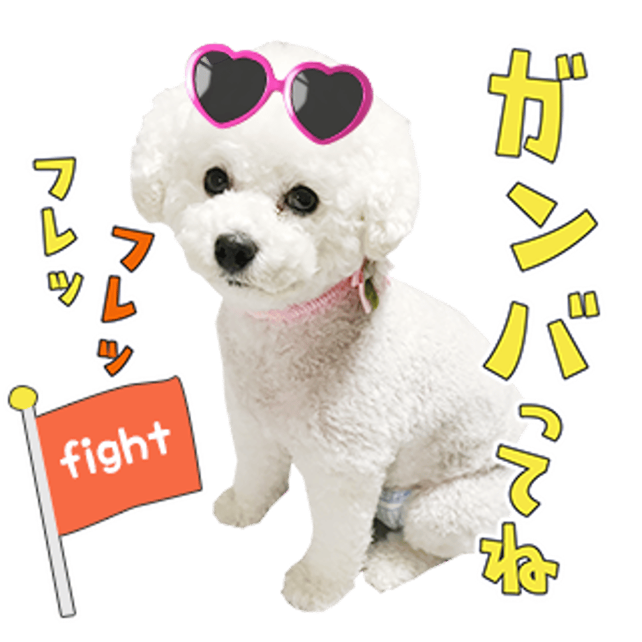 61b73291739891662fe8d77e