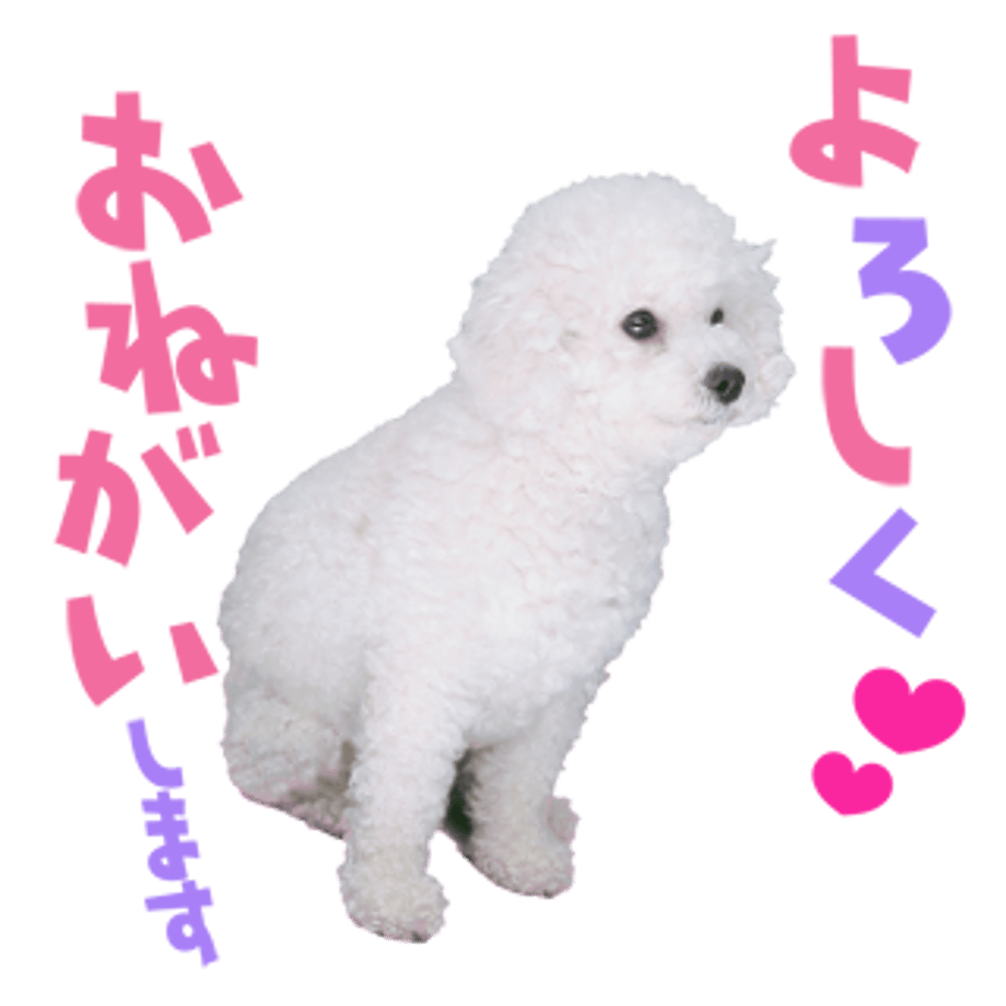 61b733db4adba05892ec2842