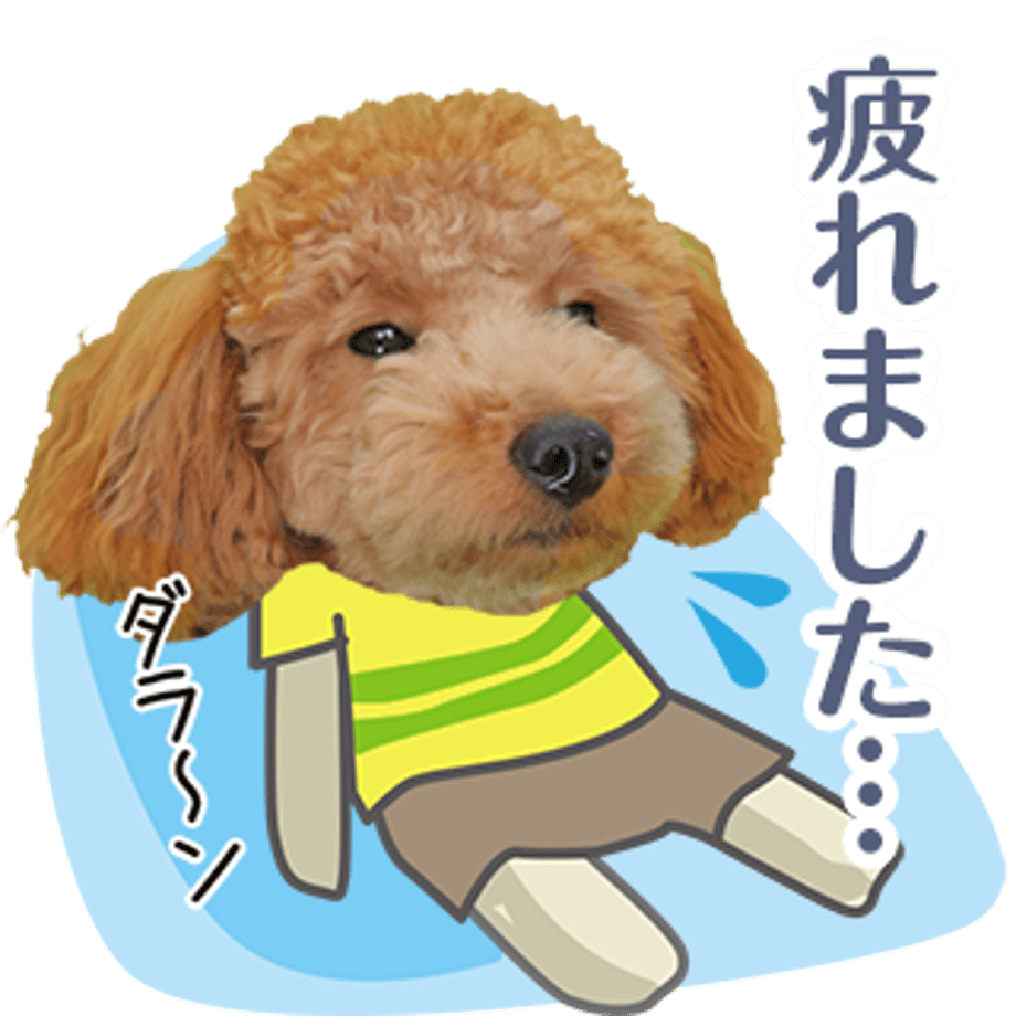 61b735d67d278d52c127d81f