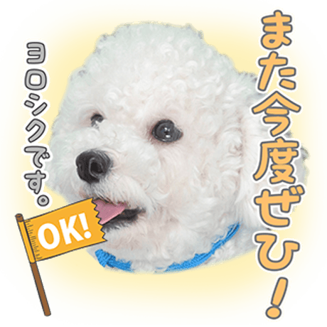あいさつ丁寧語セット2