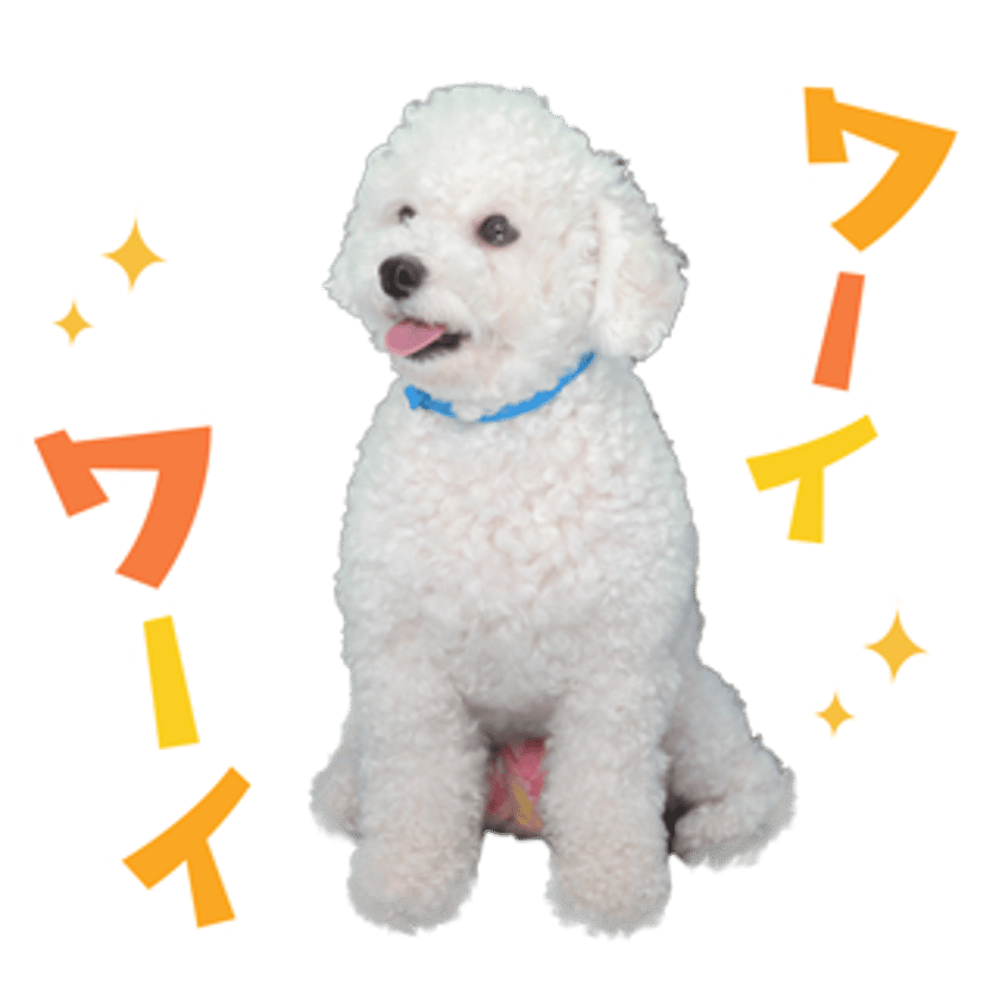 61b7346e7398917affe8d3e8
