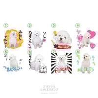 ツンデレセット2