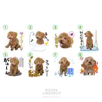 喜怒哀楽セット4