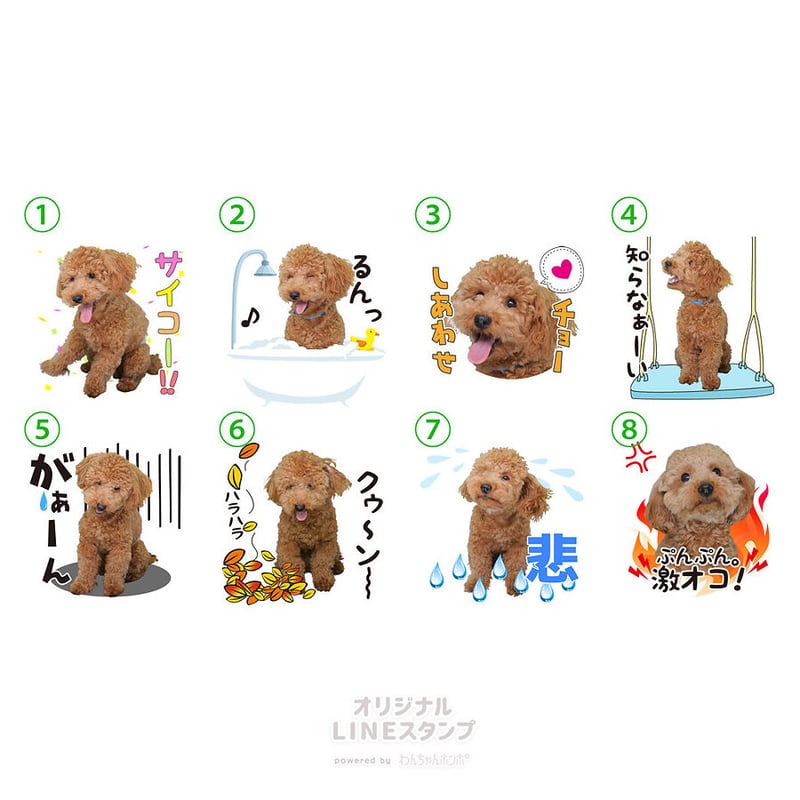 【新品未開封】半天狗　喜怒哀楽グッズセット 新品未開封】半天狗 喜怒哀楽グッズセット 鬼滅の刃 半天狗