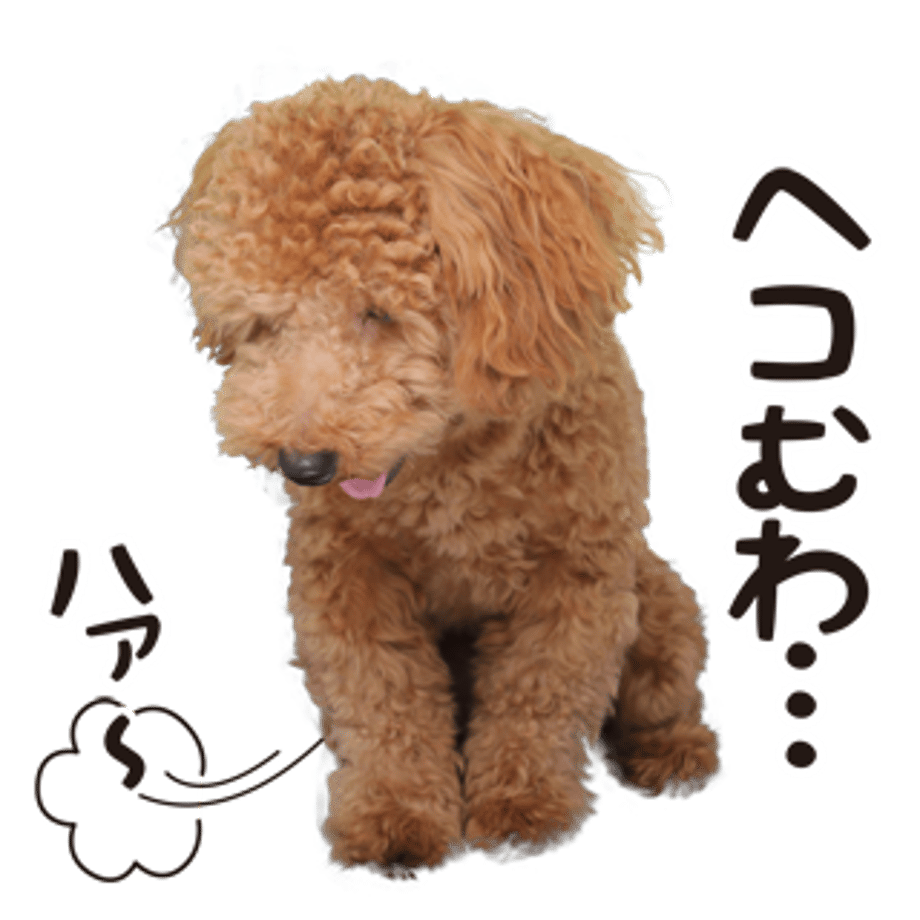 61b734c5b91b757a8e4755a3