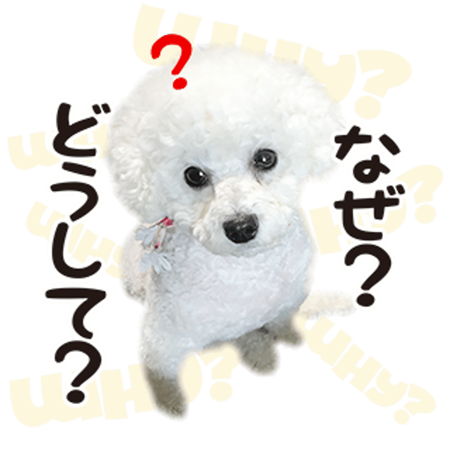61b73291739891662fe8d77e