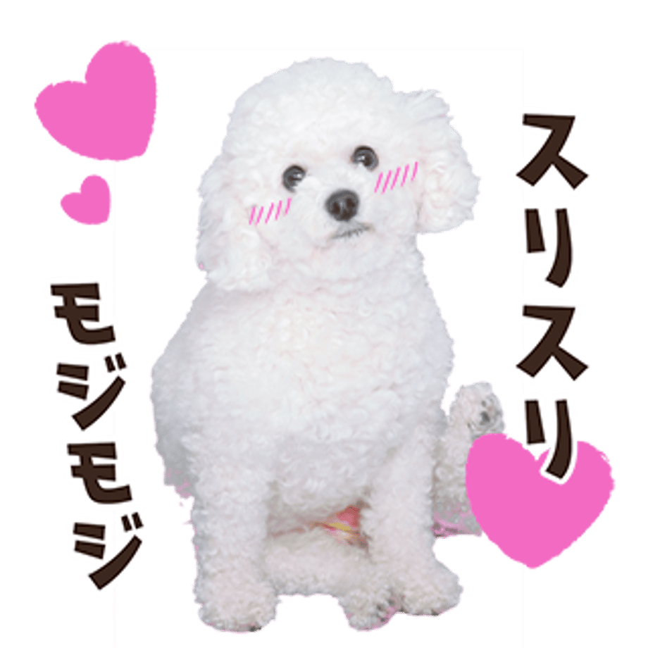 61b73291739891662fe8d77e