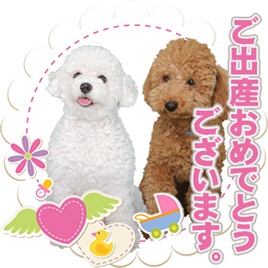61b72f9c4adba05443ec2b7c