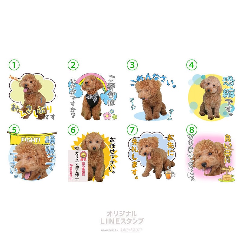 あいさつ丁寧語セット3 | わんちゃんホンポ-オリジナルLINEスタンプ