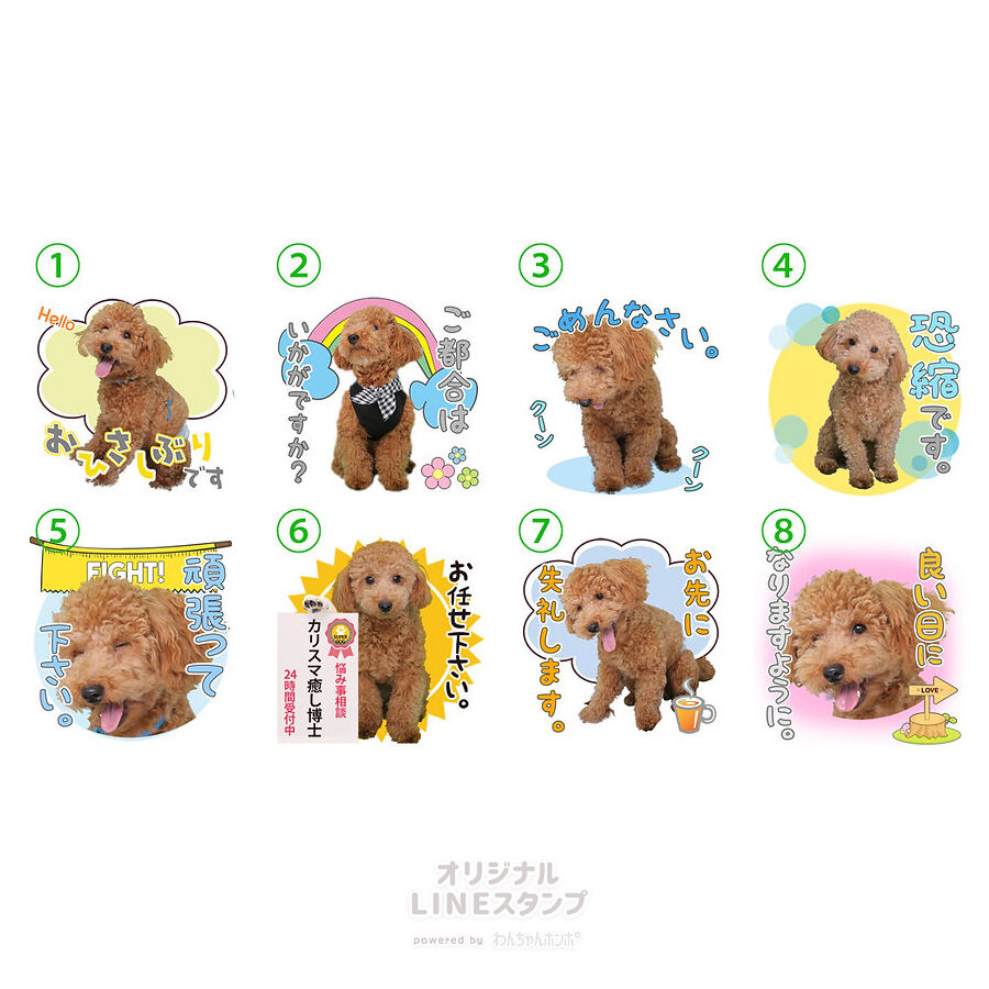 週末限定値下げ⭐️イオネスユネスタ あいさつ丁寧語セット3 | わんちゃんホンポ-オリジナルLINEスタンプ